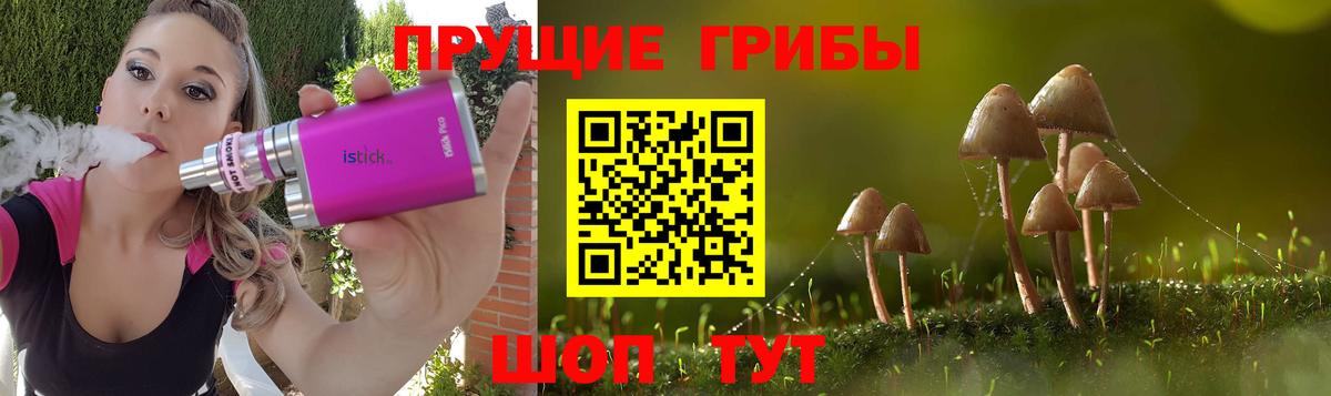 Псилоцибиновые грибы Psilocybine cubensis Шатура